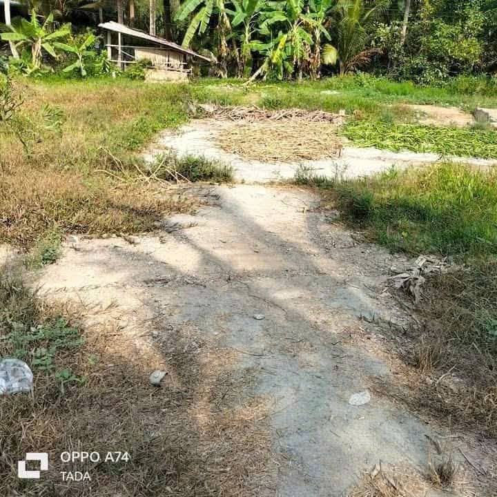 Đất thổ cư Tân Long 109m² giá chỉ 270 triệu - Mặt tiền nhựa 5 tấn!