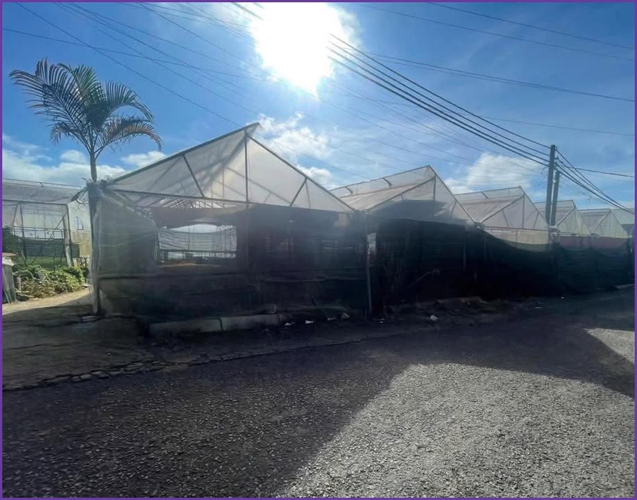 Cho thuê nhà lồng Đà Lạt 2500m² giá 30 triệu - Phù hợp làm kho xưởng, cafe!