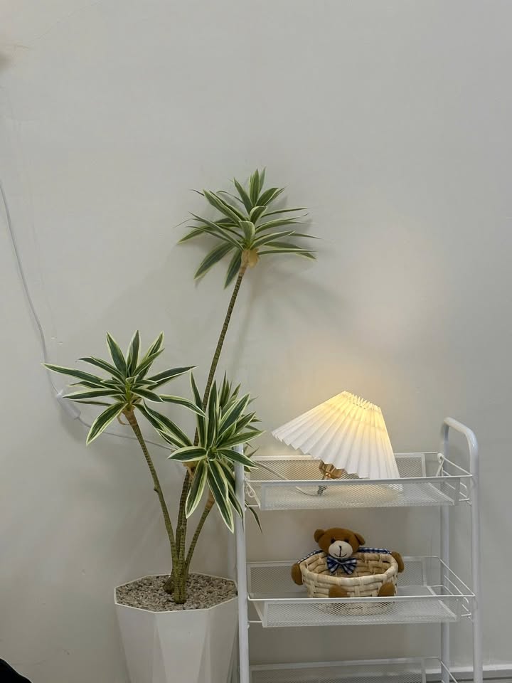 Phòng cho thuê tại Tân Bình 15m² giá từ 2.5 triệu - Đầy đủ tiện nghi hiện đại!