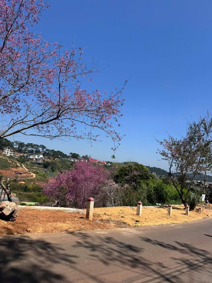 Đất xây dựng sổ đỏ tại Xuân Thọ Đà Lạt 600m² giá 7.5 tỷ - View đẹp vĩnh viễn!