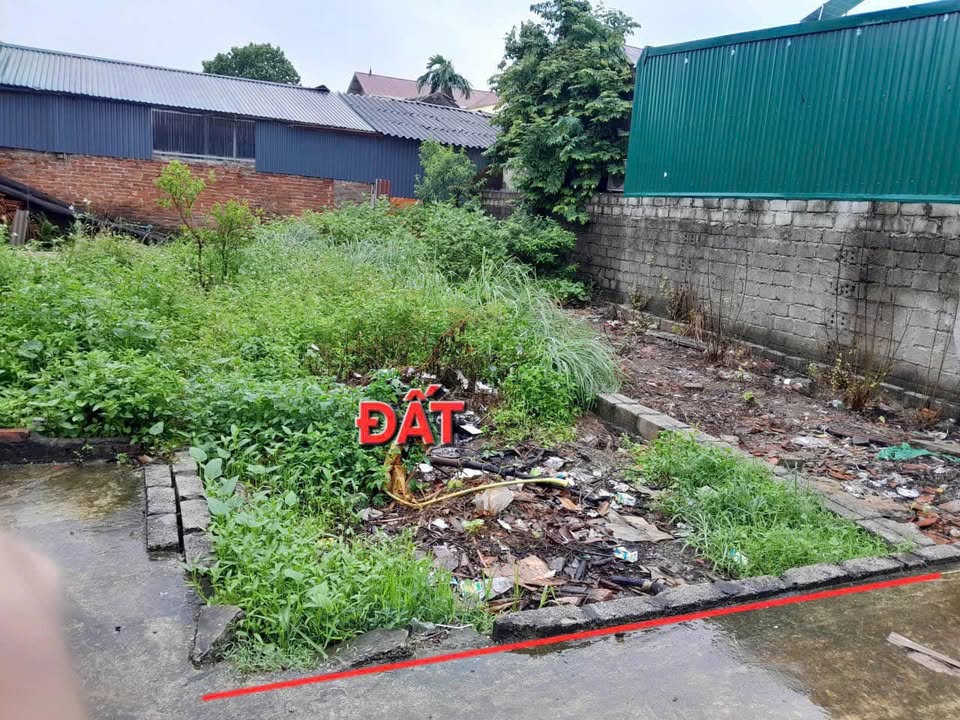 Đất nền Tân Ước, Thanh Oai 50m² giá 2 tỷ - Lô đẹp nở hậu, vị trí đắc địa!