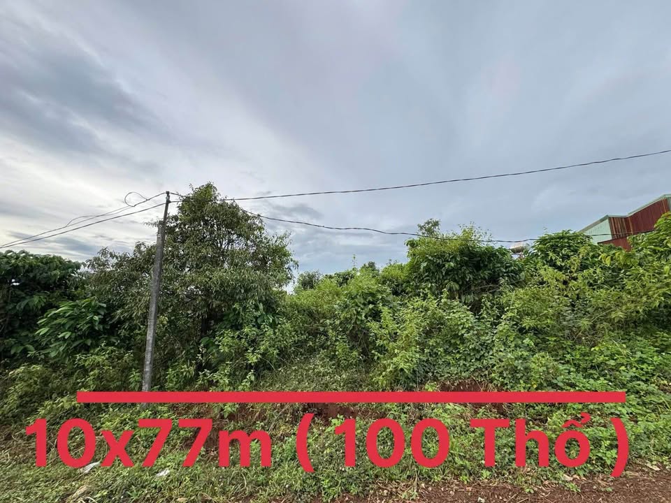 Đất nền Klah 1, Ia Dêr 770m² giá 1.19 tỷ - Cơ hội đầu tư hấp dẫn!