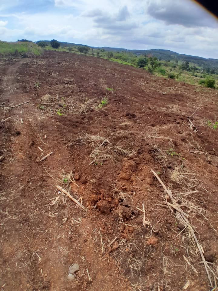 Đất nền Đắk R'La Đắk Mil 1.8ha giá 1.35 tỷ - Cơ hội đầu tư hấp dẫn!