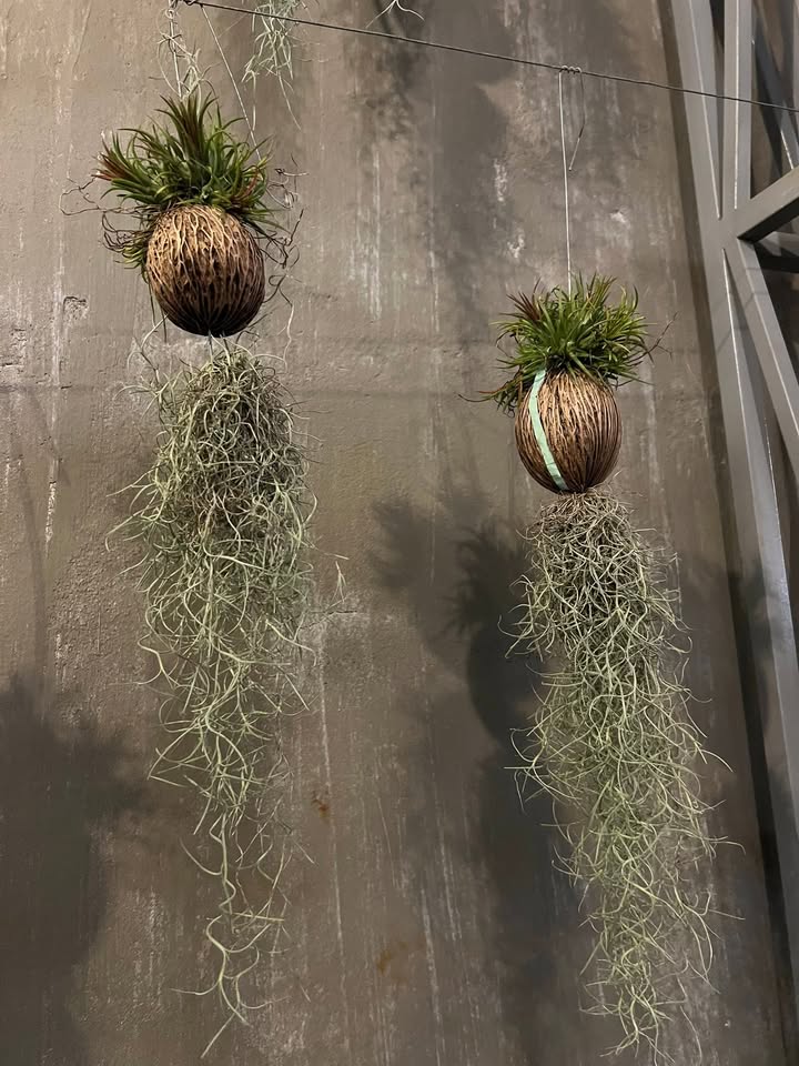 Đất nền mặt tiền Võ Thị Sáu, Chư Sê 80m² giá 2.5 tỷ - Kinh doanh đa ngành nghề