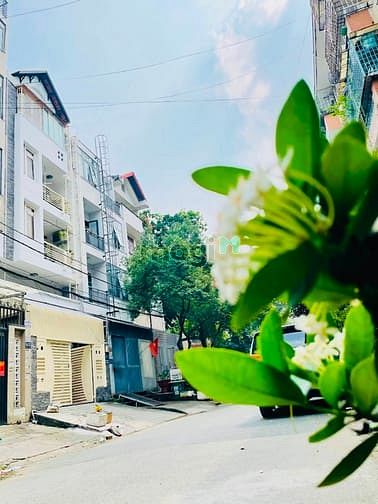 Nhà phố 38 Đinh Bộ Lĩnh, Bình Thạnh 238m² giá 15 tỷ - Hẻm lớn 12m, thu nhập ổn định!