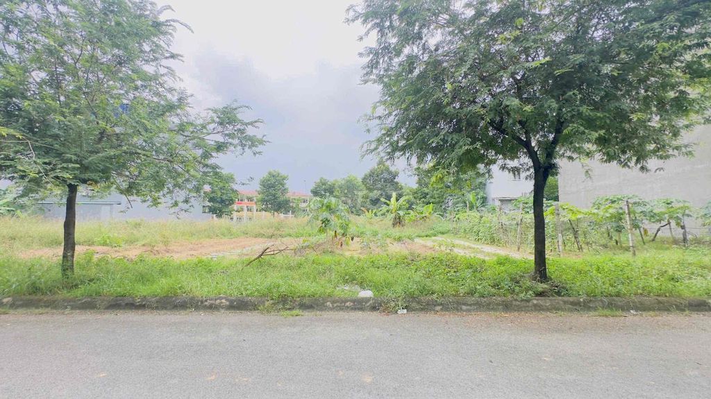 Đất khu đô thị Bình Nguyên, Bình An, TP Dĩ An 100m² giá 6 tỷ - Sổ hồng riêng, thổ cư 100%!