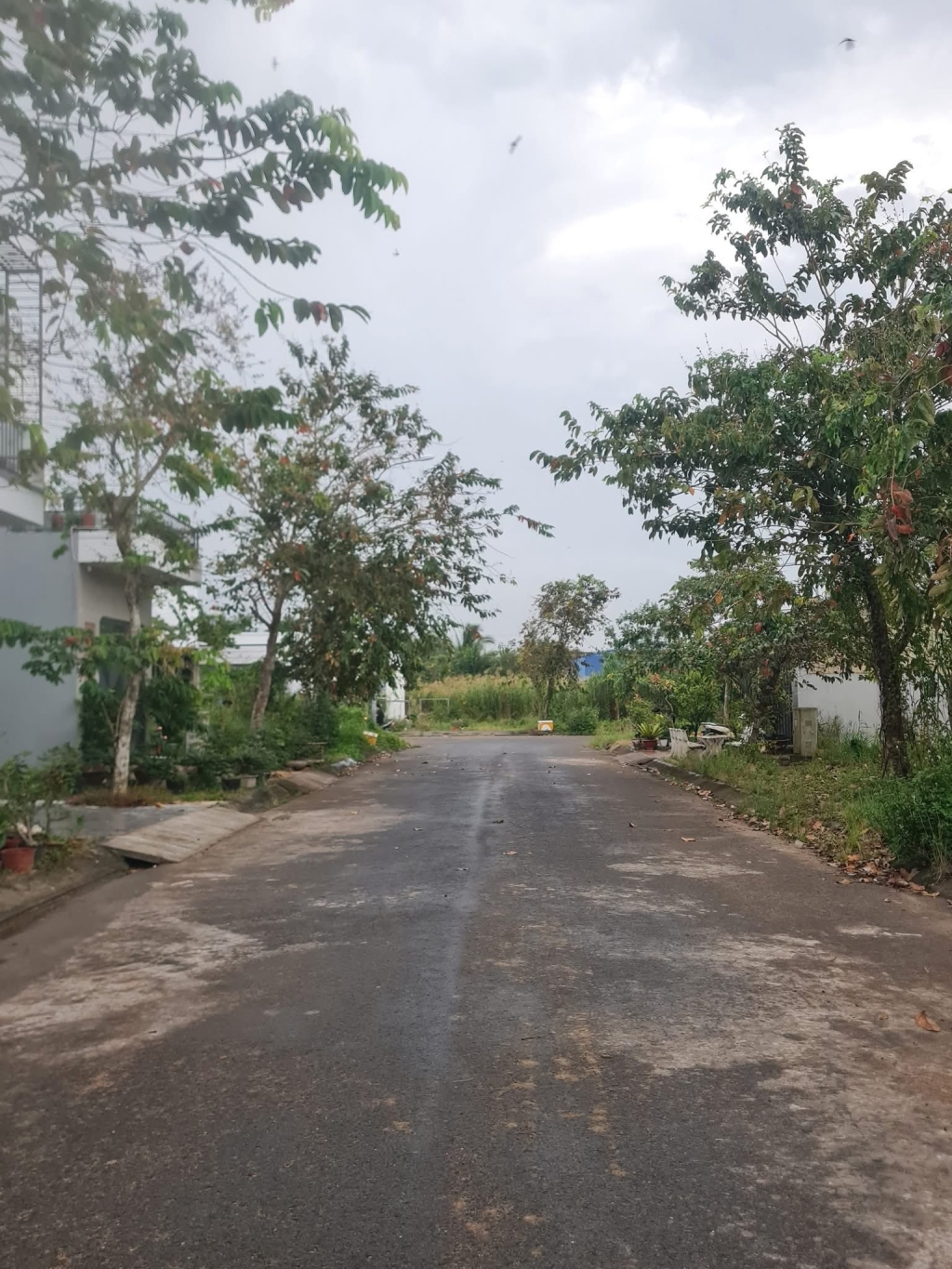 Đất nền KDC Phú An, Cần Thơ 81m² giá 2.3 tỷ - Đầu tư sinh lời ngay!