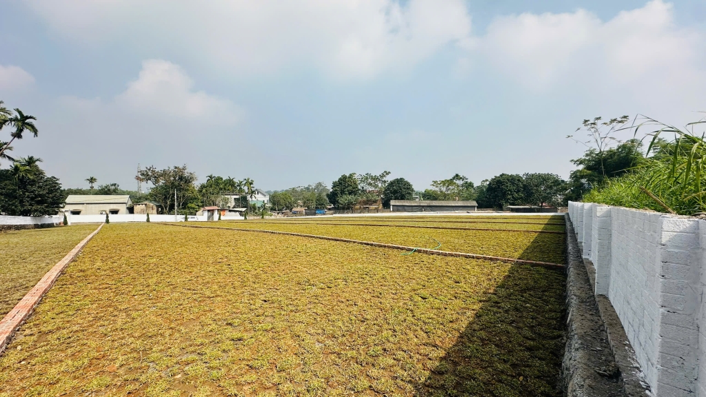 Đất nền trung tâm KCN Nhuận Trạch 416m² giá 2 tỷ - Pháp lý rõ ràng, sẵn sàng xây dựng!