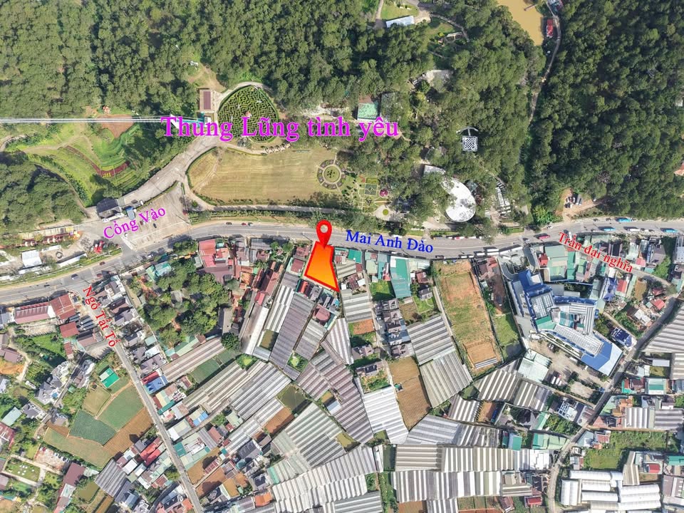 Bán đất 3 mặt tiền Mai Anh Đào P8 Đà Lạt 1.046m² giá 105 tỷ - Tiềm năng sinh lời cao!