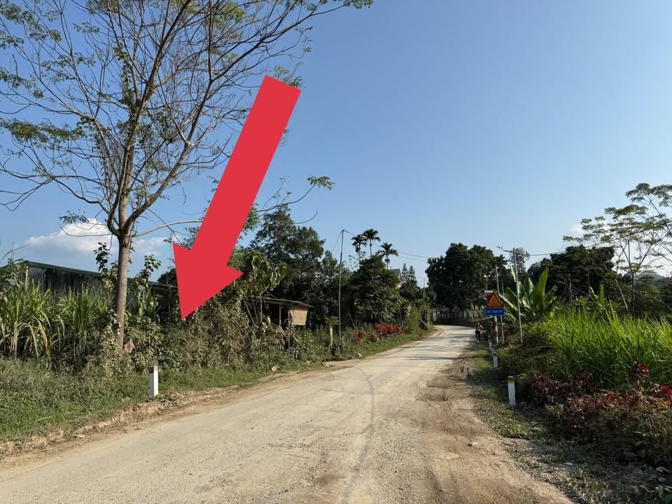 Đất nền Bảo Thắng Lào Cai 141.3m² giá chỉ 800 triệu - Cơ hội đầu tư hấp dẫn!