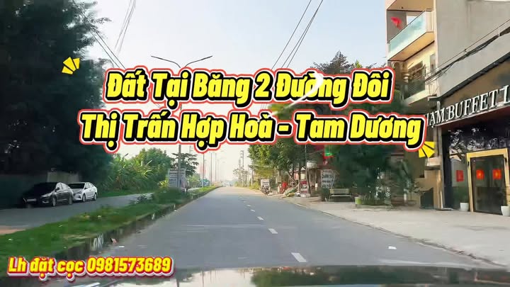 Đất thổ cư Hợp Hòa, Tam Dương 252m² giá 1 tỷ - Cơ hội đầu tư hiếm có!