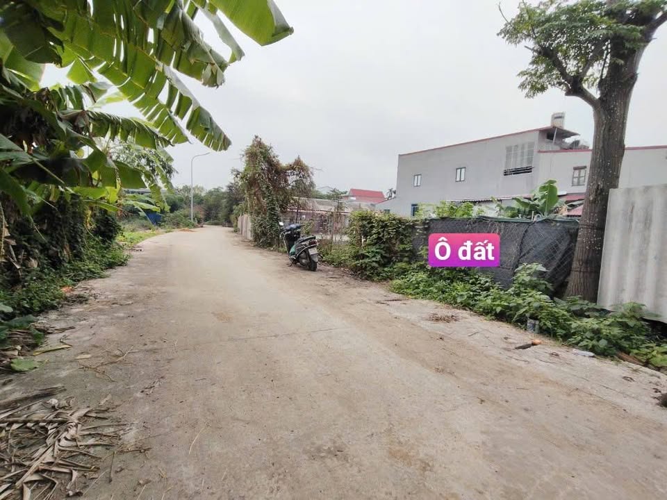 Đất thổ cư Thanh Vân Tam Dương 108m² giá chỉ 14xx triệu - Vị trí đắc địa gần trung tâm!