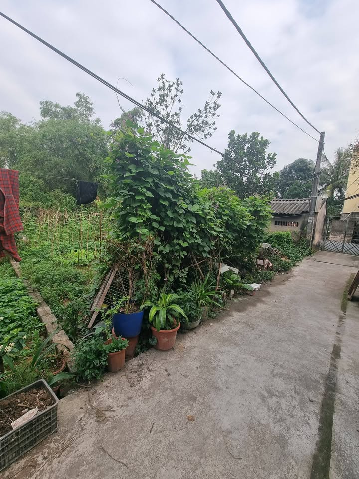 Đất nền Quang Trung, Phú Xuyên 100m² giá 1.7 tỷ - Gần nhà văn hóa, tiện ích đầy đủ!