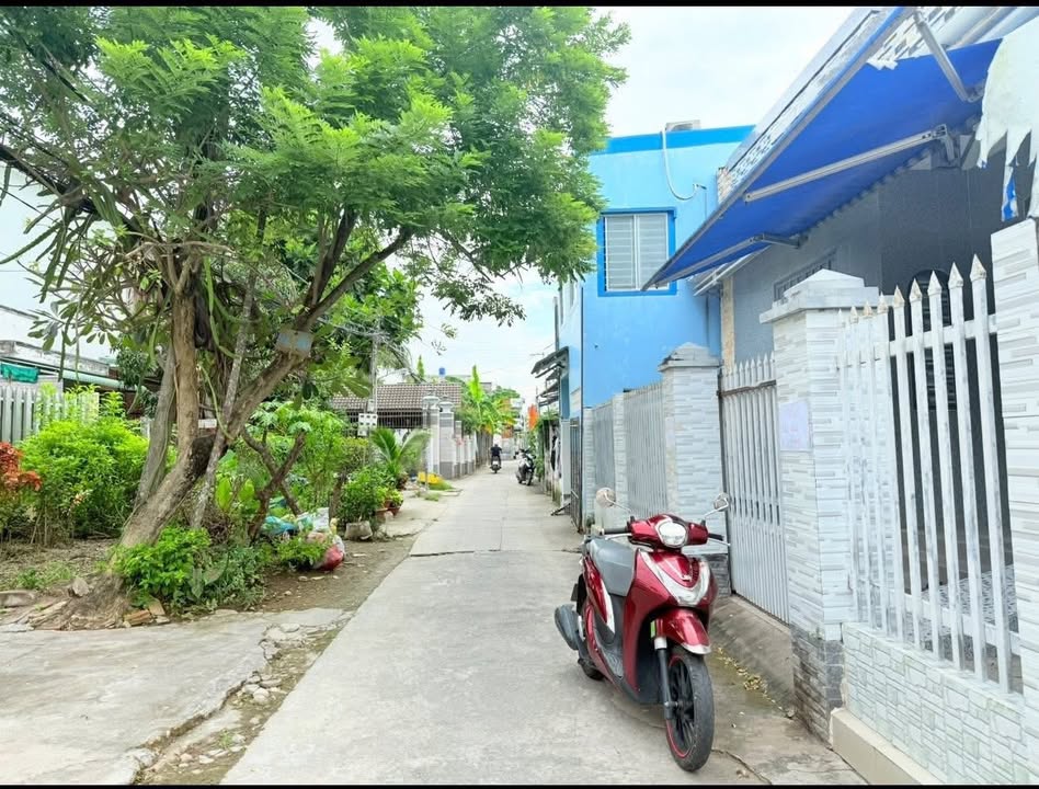 Đất nền Phú Khương Bến Tre 168m² giá 3.024 tỷ - Cơ hội đầu tư tuyệt vời!