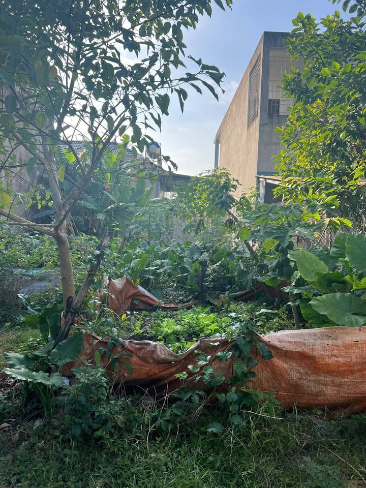 Đất nền Uông Bí 99m² giá 1.4 tỷ - Vị trí đông dân cư, tiện ích đầy đủ!