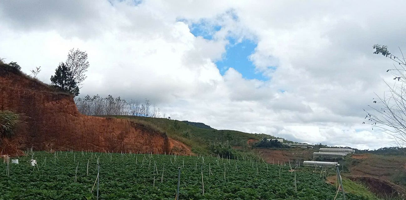 Đất nền 9 sào mặt tiền đường Điện Biên Phủ, Lang Biang - Đầu tư sinh lời với giá 3.6 tỷ!
