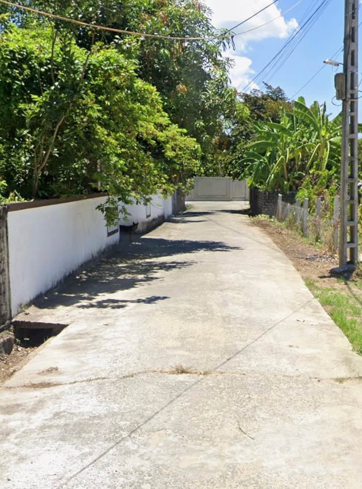 Đất phân lô Nghi Long 98m² giá chỉ 900 triệu - Đầu tư sinh lời ngay!