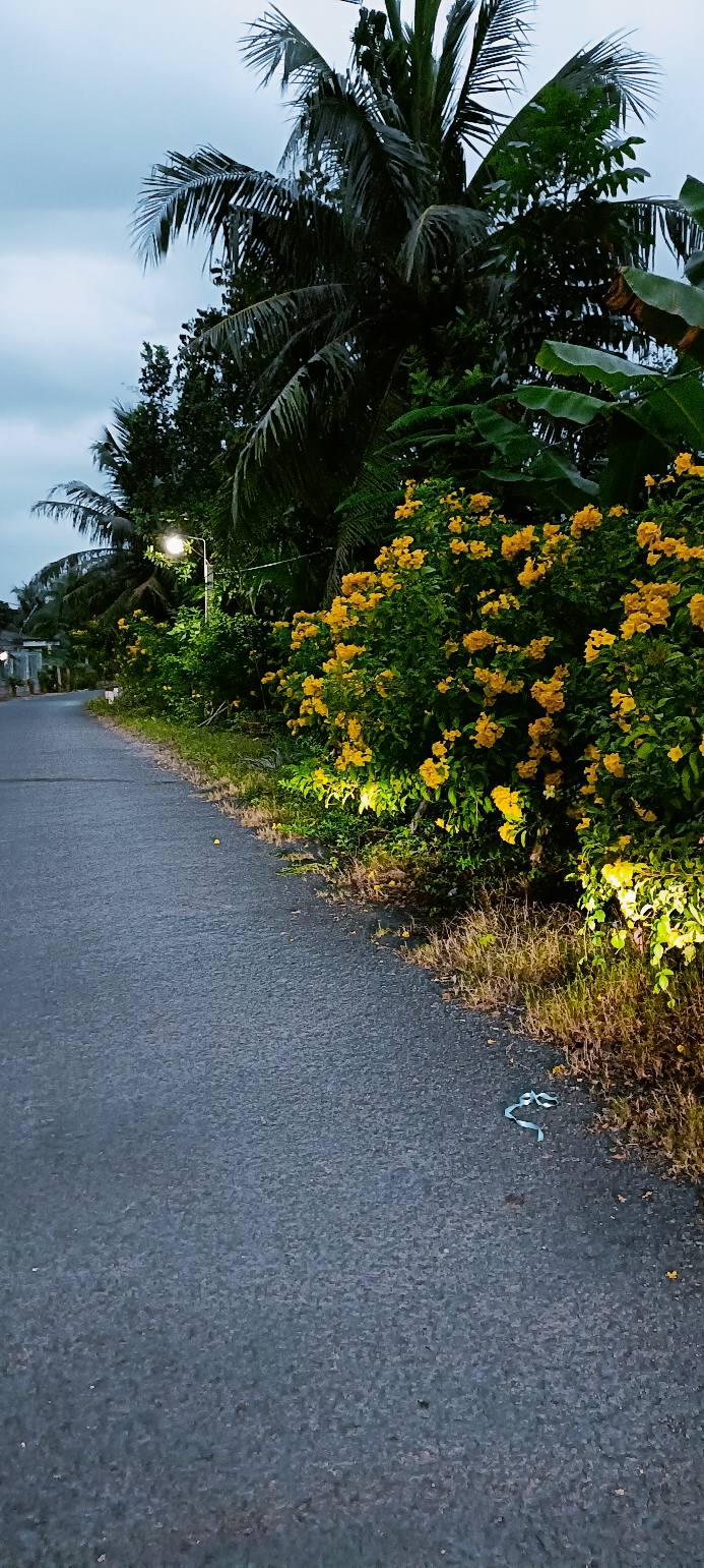 Đất thổ cư mặt tiền đường nhựa phường Thanh Đức 378m² giá 1.512 tỷ - Cơ hội đầu tư tuyệt vời!