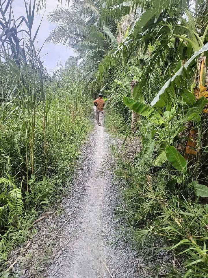 Đất nền Hòa Bình, Trà Ôn, Vĩnh Long 1000m² giá 260 triệu - Cơ hội đầu tư hấp dẫn!