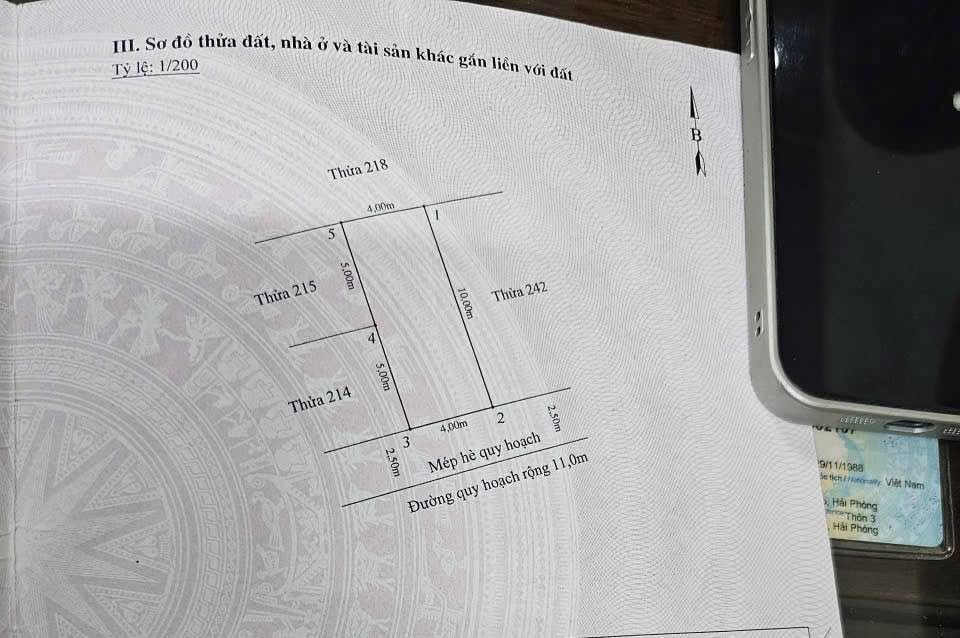 Lô đất đẹp tại khu tái định cư Cây Đa 13 Gốc Hải Phòng 40m² giá 4.3 tỷ - Phong thủy tốt, sổ đỏ chính chủ!