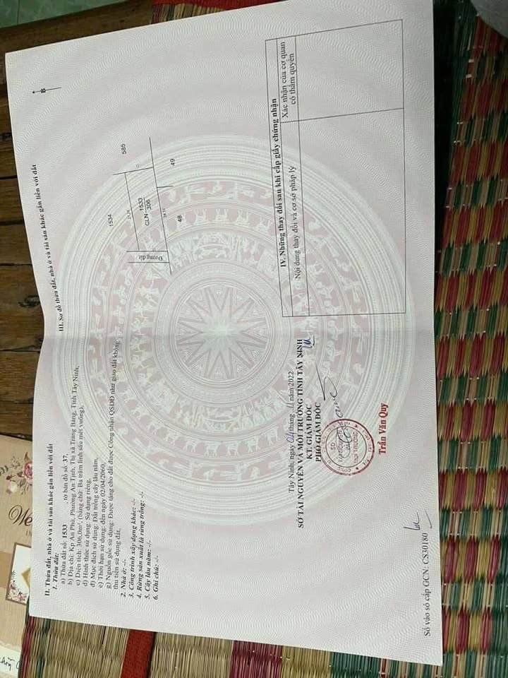 Đất ở đô thị An Tịnh, Trảng Bàng 319m² giá 1.3 tỷ - Đầu tư sinh lời hấp dẫn!