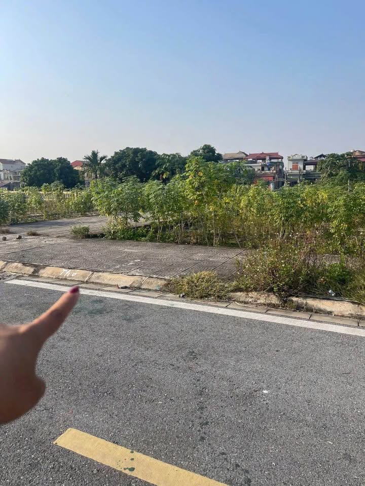 Đất đấu giá Đông Đình, Đại Cường, 84m² giá 3 tỷ - Lô góc 3 thoáng đẹp!