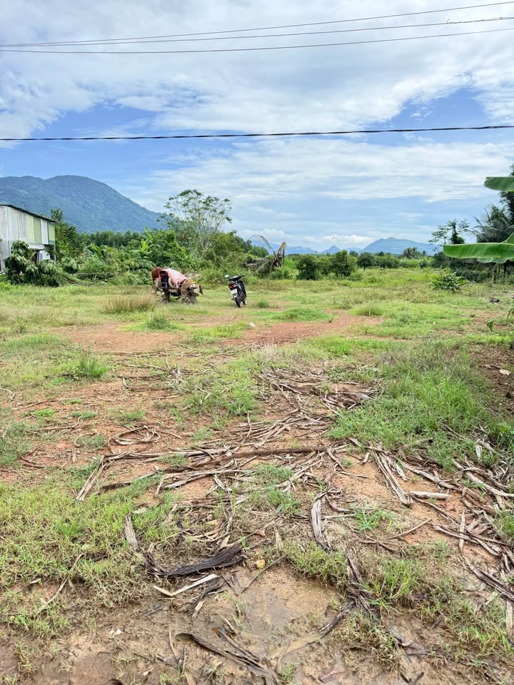 Đất vườn Diên Xuân Diên Khánh 1276m² giá 1.15 tỷ - Hạ giá nhanh ăn Tết!