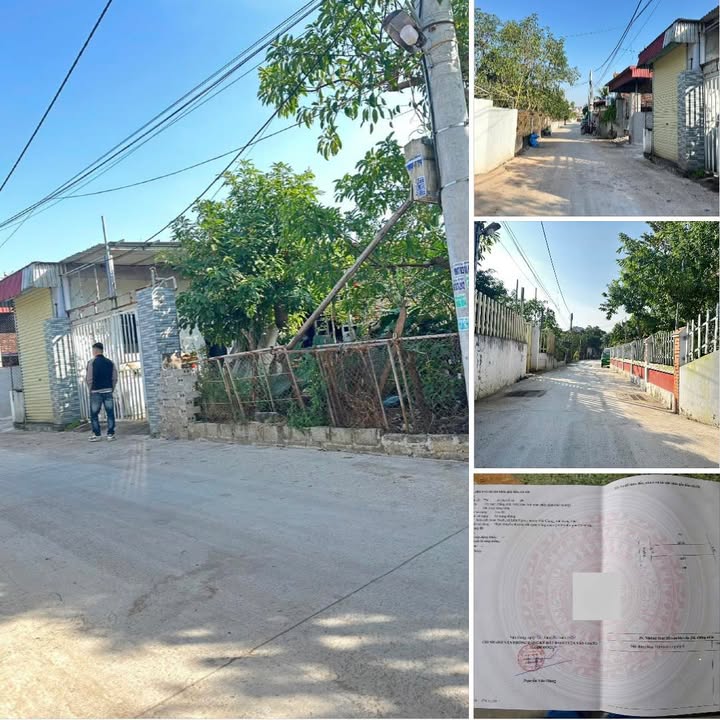 Đất nền Liên Nghĩa, Văn Giang, Hưng Yên 105.5m² - Đầu tư sinh lời ngay!