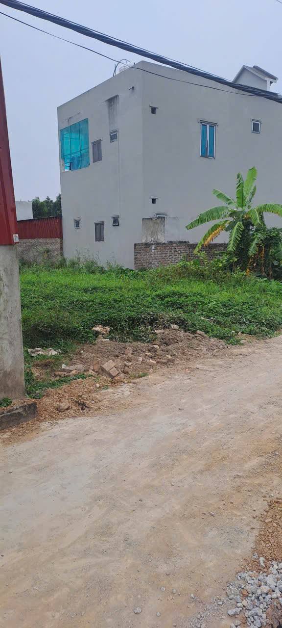 Đất nền Cẩm Xá, Mỹ Hào 100m² giá 2 tỷ - Đường ô tô thuận tiện!