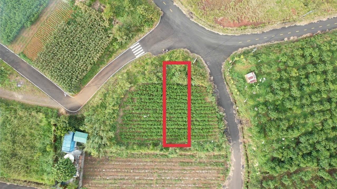 Đất thổ cư 100m² Trần Quý Cáp, Bảo Lộc chỉ 1.1 tỷ - View thoáng, giá tốt!