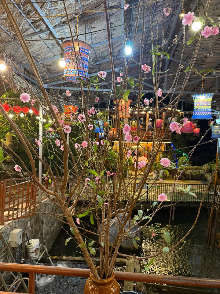 Đất nền kinh doanh tại TDP Tự Nhiên, Mộc Sơn 147m² - Đầu tư sinh lời nhanh!