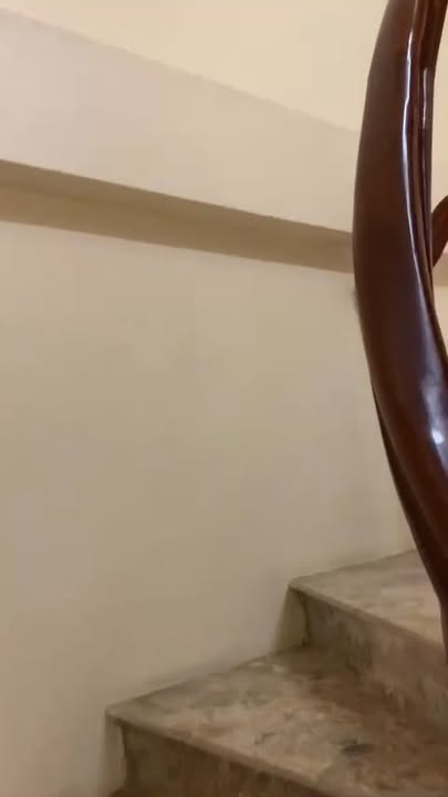 Nhà 3 Tầng Thị Trấn Phùng 75,2m² Giá Thỏa Thuận - Đầu Tư Hấp Dẫn!