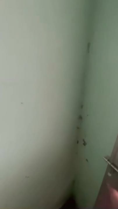 Nhà bán tại phường 4, TX Cai Lậy 200m² giá 1.4 tỷ - Vị trí đông dân cư!