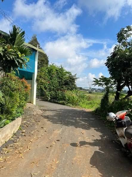 Đất nền Phú Hội, Đức Trọng 150m² giá 1.18 tỷ - Đầu tư sinh lời ngay!