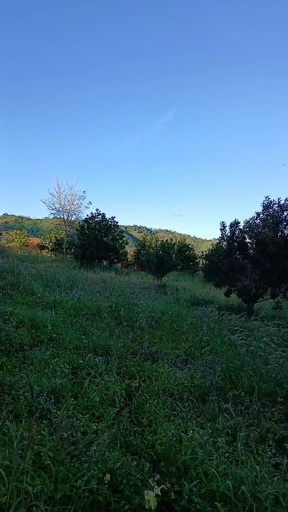 Farm 1ha Đăk Pxi, Đắk Hà giá 700 triệu - Đầu tư sinh lời với 400 cây mac ca