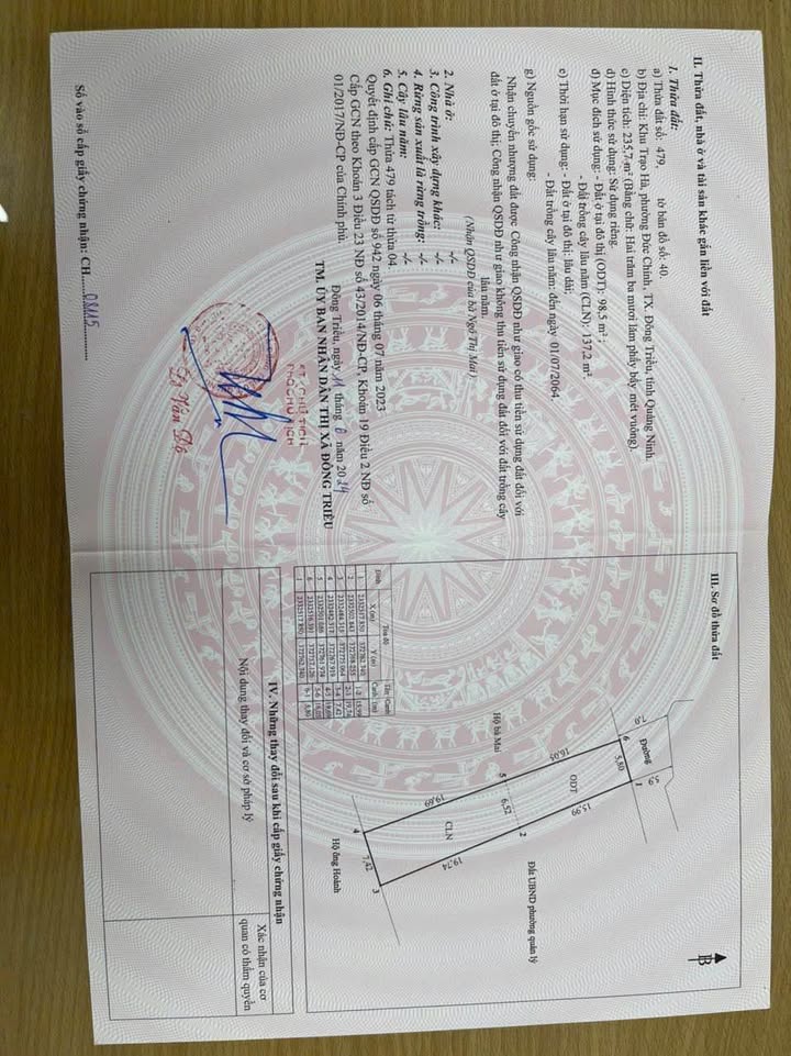 Đất nền Trạo Hà, Đức Chính 235.7m² giá chỉ 1.1 tỷ - Đầu tư sinh lời ngay!