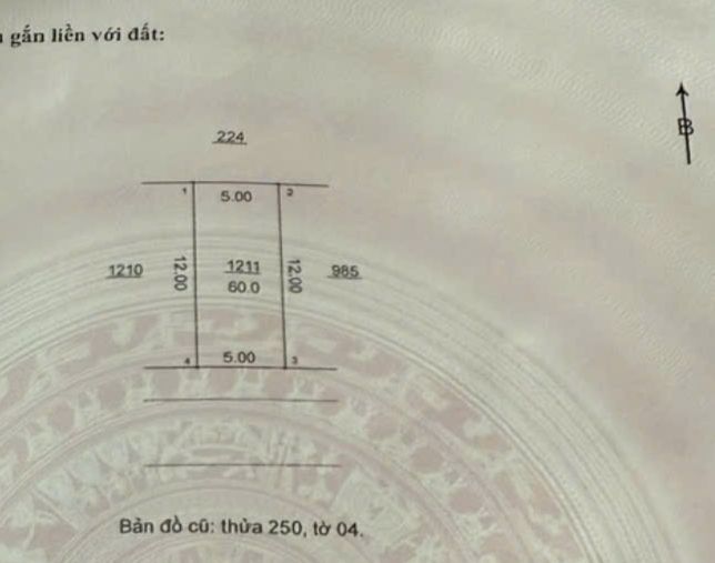 Đất nền Vân Canh Hoài Đức 60m² giá chỉ 180 triệu - Cơ hội đầu tư hiếm có!