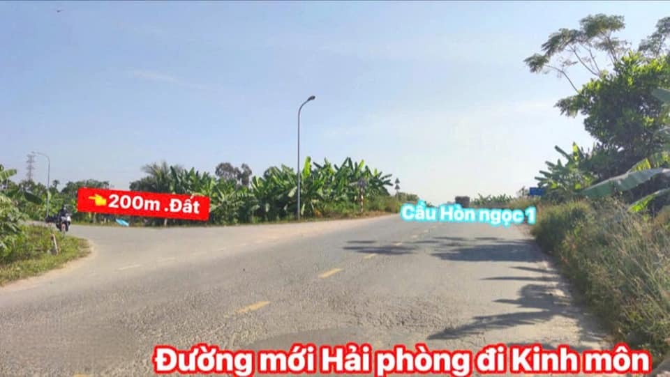 Đất nền 61m² tại Trại Dưới, Hải Phòng giá chỉ 600 triệu - Cơ hội đầu tư tuyệt vời!