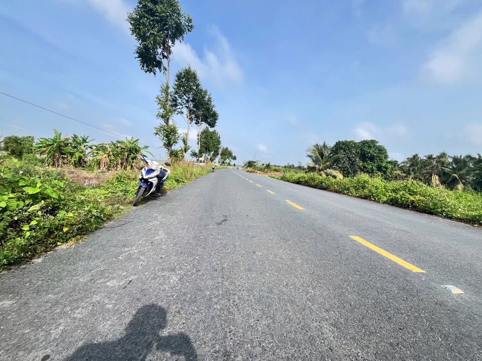 Đất mặt tiền Tỉnh Lộ 919, xã Đông Thuận, 5008m² - Đầu tư sinh lời tuyệt vời!