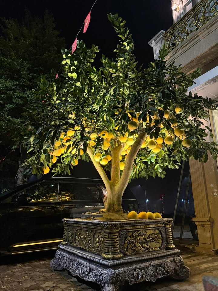 Đất nền Tân An Bắc Giang 103m² - Cơ hội đầu tư tuyệt vời!