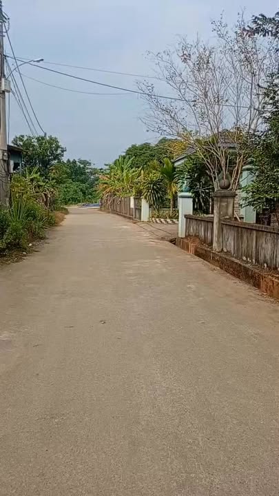 Đất thổ cư 584m² tại Việt Lâm, Vị Xuyên - Chỉ 750 triệu, cơ hội đầu tư không thể bỏ qua!