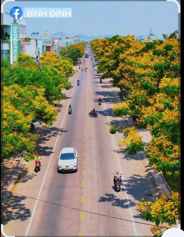 Nhà mặt tiền Lê Thanh Nghị, Quy Nhơn 68m² giá 5.5 tỷ - Sẵn sàng ở ngay!