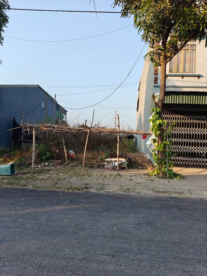 Đất nền tái định cư Hợp Xuân Tằng Loỏng 100m² giá chỉ 4xx triệu - Cơ hội đầu tư tuyệt vời!