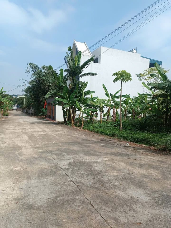 Đất nền Trung Sơn, Tam Điệp 116m² chỉ 1 tỷ - Đường 2 mặt thoáng, ôtô tránh nhau!