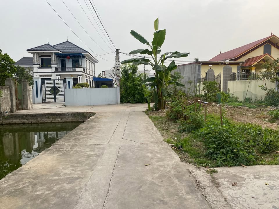 Đất Trường Thành An Lão 101m² giá 1.4 tỷ - Sổ đỏ chính chủ, thuận tiện kinh doanh!