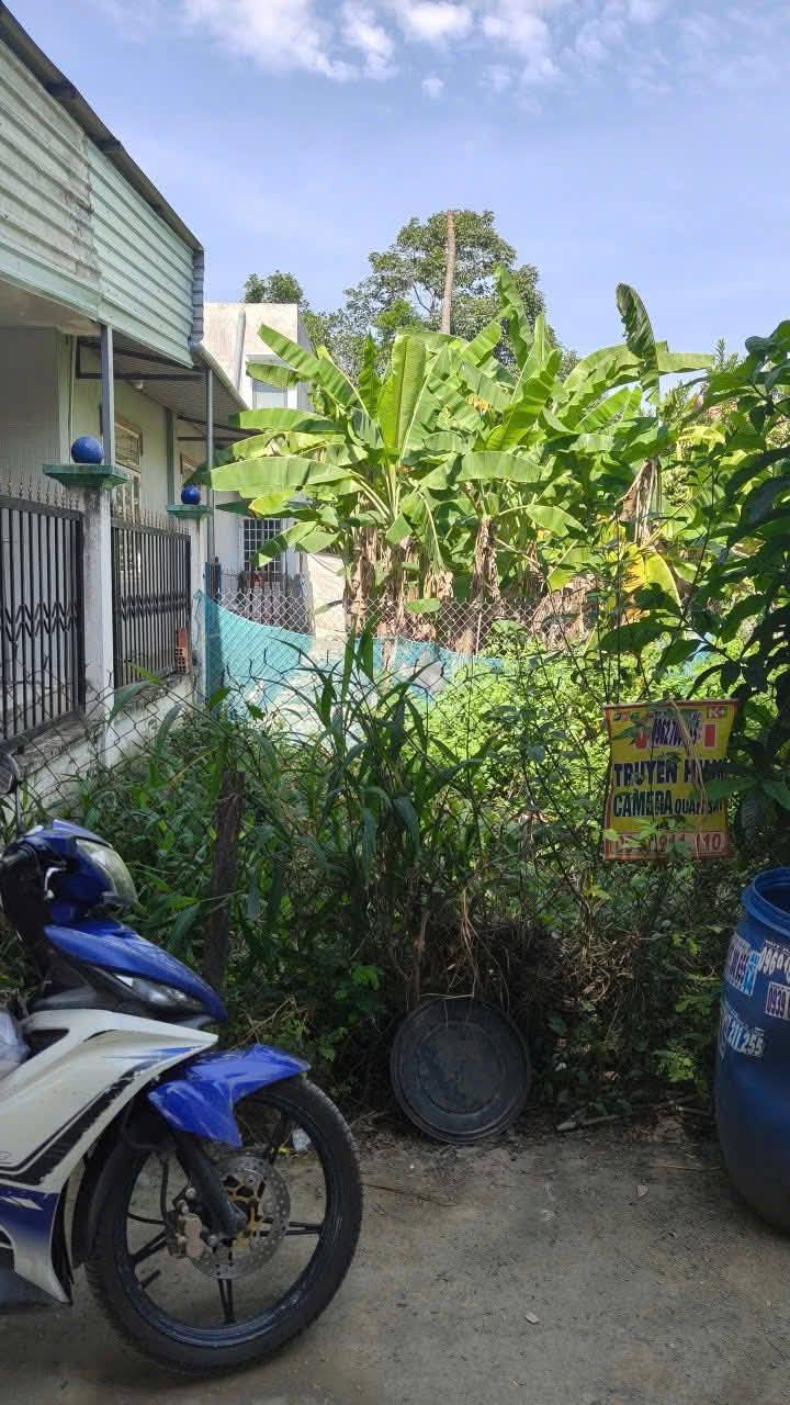 Lô đất sổ hồng riêng 130m² tại Tân Hạnh, Biên Hòa - Giá chỉ 2.35 tỷ!