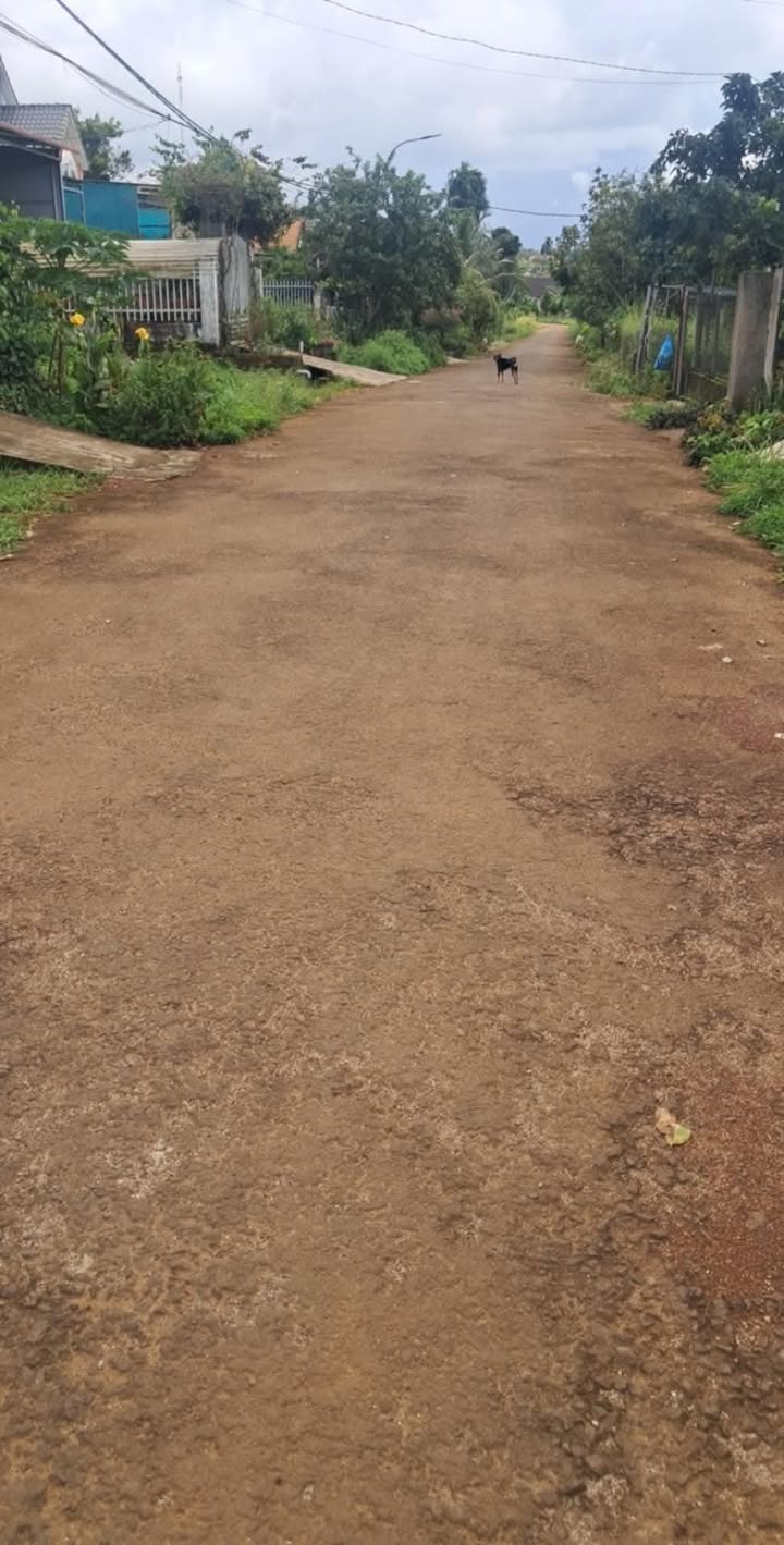 Đất nền chính chủ Kiến Đức 224m² giá 1.05 tỷ - Sổ hồng đầy đủ, khu dân cư đông đúc!