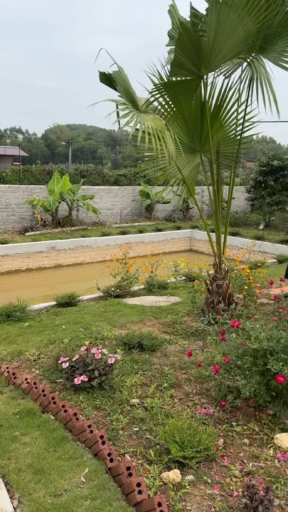 Khu vườn nghỉ dưỡng Tân Hiệp 2.500m² - Không gian sống xanh, yên bình!