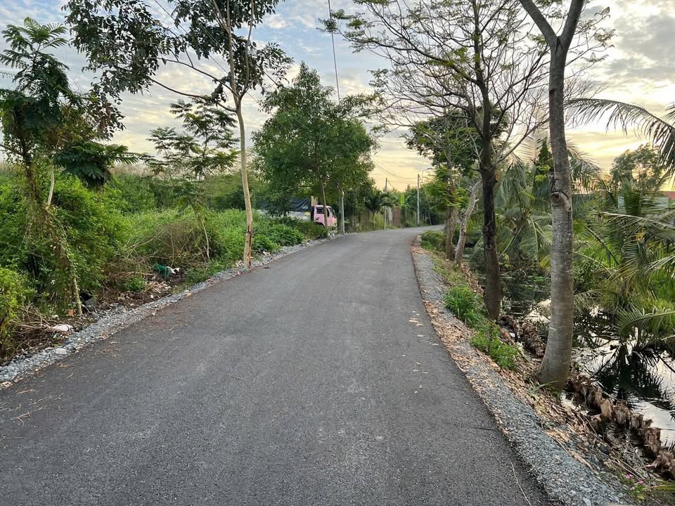 Đất trồng cây Hưng Long, Bình Chánh 2000m² giá 9 tỷ - Tiềm năng phát triển lớn!