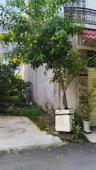 Lô đất đẹp 86,3m² Tăng Nhơn Phú A, Thủ Đức - Giá 5,6 tỷ bớt lộc!